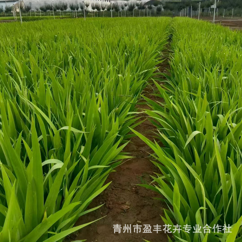 微信图片_20241223104008