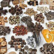 ľƬֲ̫˱ɹdiyɻϰֹ