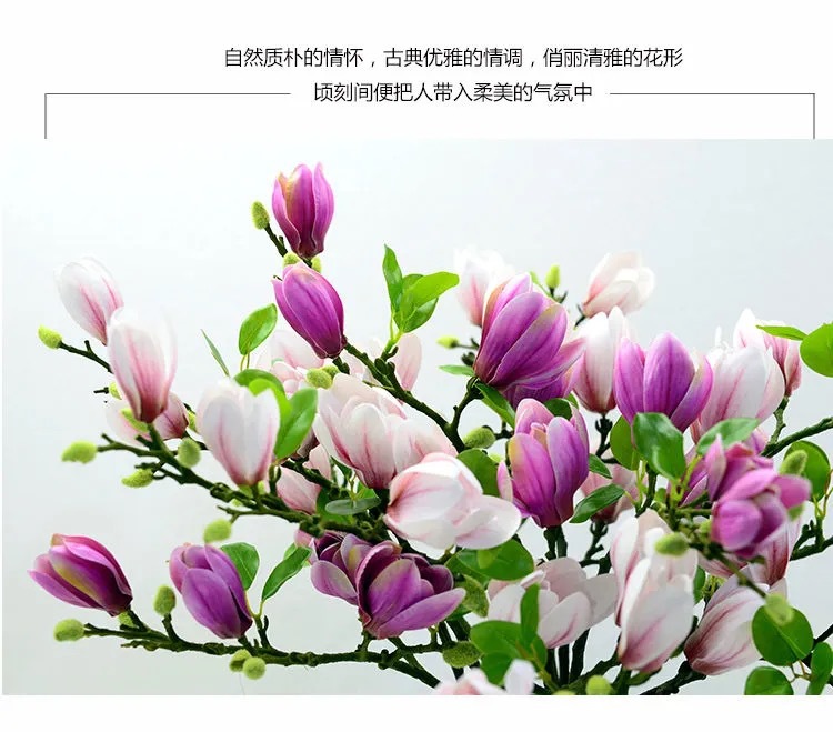 i2idjvmmydSNv11IL5JaeYtewZOPwUh7hWXS