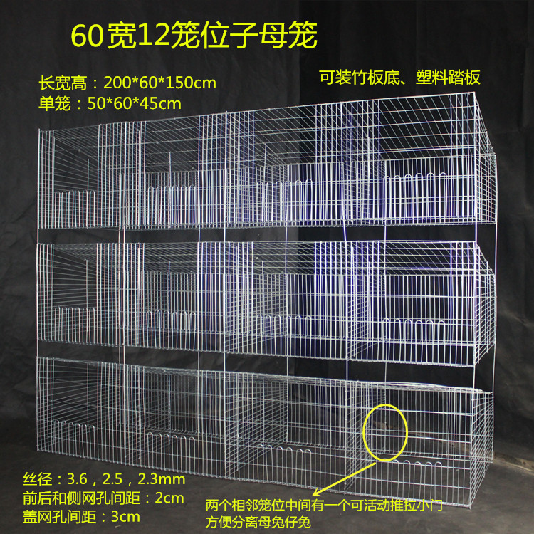 品商品无底笼种獭兔养殖母兔专场肉兔产仔笼笼加密12兔笼长毛兔