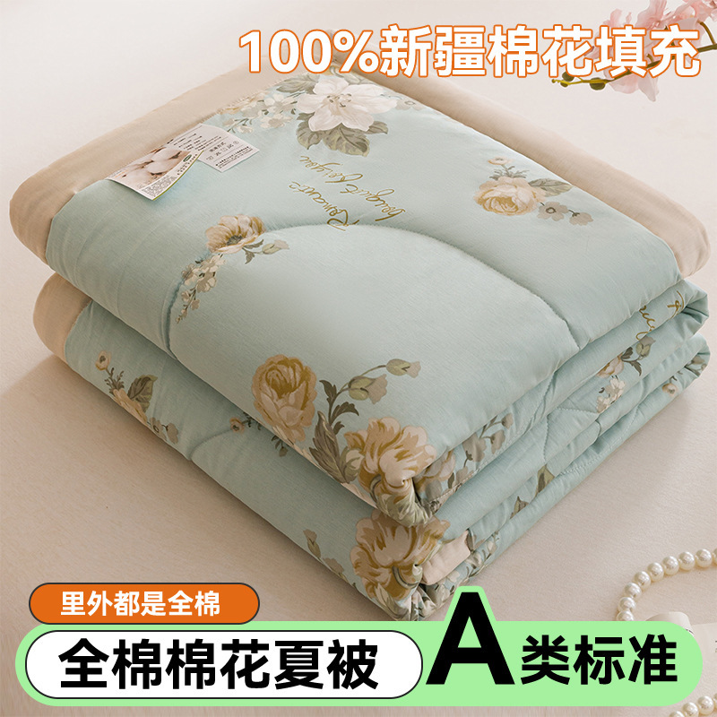 Edredón de aire acondicionado lavable de algodón de clase A, núcleo de edredón de algodón de Xinjiang, edredón de algodón impreso de verano, edredón de regalo doble