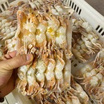 肉蟹批发扁蟹排手工去壳去腮海鲜水产速冻蟹排商用蟹块半成品食材
