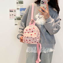 �羳�nϵ�p�米���ɐ۟�о�qŮʿ����2026���s���e������������