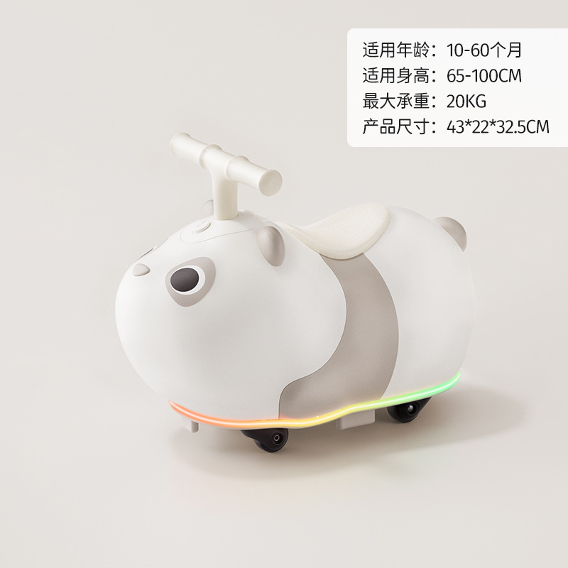 회색 팬더 자동차