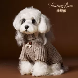汤尼熊 母狗狗衣服蝴蝶结秋装泰迪雪纳瑞比熊马尔济斯花边打底衫