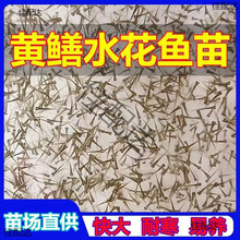 �S�Xˮ���~�絾��Ұ�����S�X�P���X�Lβ�~�X�~���ͺ��׻��Ї�