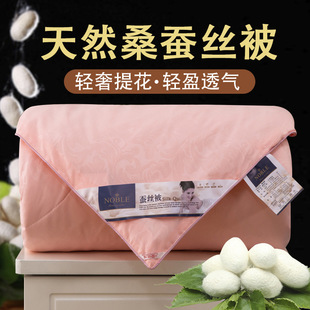 Tongxiang Silk Quilt Thickened Winter Quilt Air Conditioning Quilt Summer Quilt Single and Double Spring and Autumn Quilt Core Foreign Trade Cross-Border Factory Wholesale