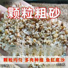 多肉河沙土粗沙颗粒造景铺面种花鱼缸底砂微景观水族种植拌