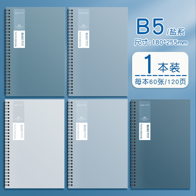소금 시스템 [B5/60]