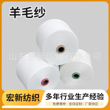 固体腈纶羊毛混纺纱A90/W10棉毛纱 可贴身羊毛40S粘毛纱 TR仿毛纱