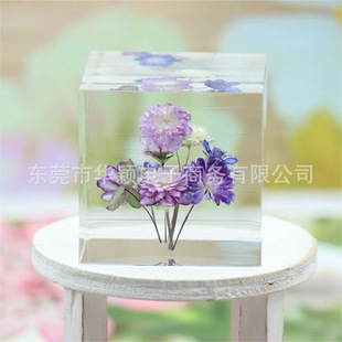 Natural plant eternal flower specimen epoxy resin buried snow mowing specimen crafts transparent decoration gift