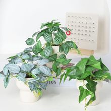 羳GֲԔ[O͏dưɼٻ滨[߼лˇbƷ