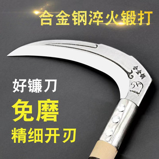 砵����M��䓲ĸ�ݵ��ո����חU���ü��Ñ�����ݵ��r���B������