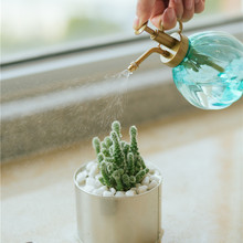 ���������Ϲϝ������Fƿ��������ֲ�ˮ��С�͏͹ŝ������F����