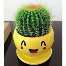 ���������������҃ȿ͏d�������k�������B�M�϶���ֲ�ﲻ��