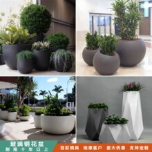 ���⻨��[���@�־��^��ش�ƿ����䓻���Ƶ��̈������M�ϻ���