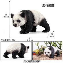 �羳�������ģ�͌���������؈���R�����ϻ��������z��ͯ������l