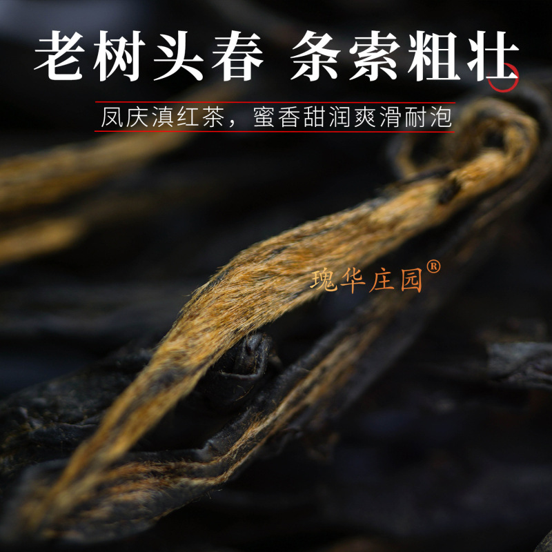 雲南典紅松葉紅茶バルク茶卸売 2025 林滄鳳清老木の芽理条松葉春茶|undefined