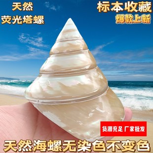 ҹ���� �ɹ����� ����ؐ�� ȥƤ���ݙ����[���ղ���؛Դֱ�N