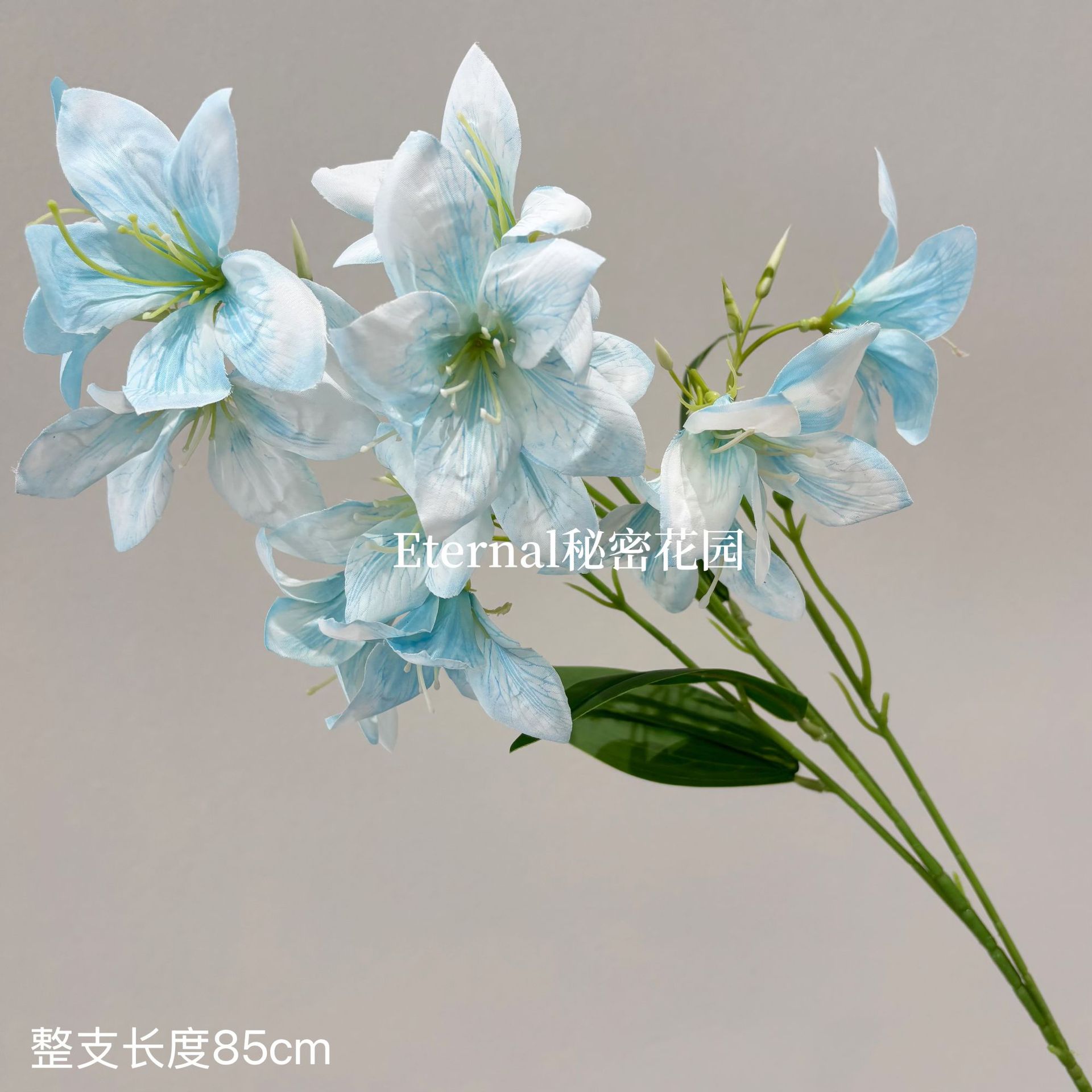수선화 백합