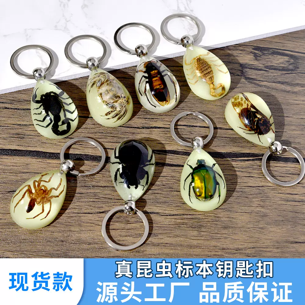 源头实力工厂批发高透明树脂内埋自然昆虫水滴形夜光钥匙扣挂件