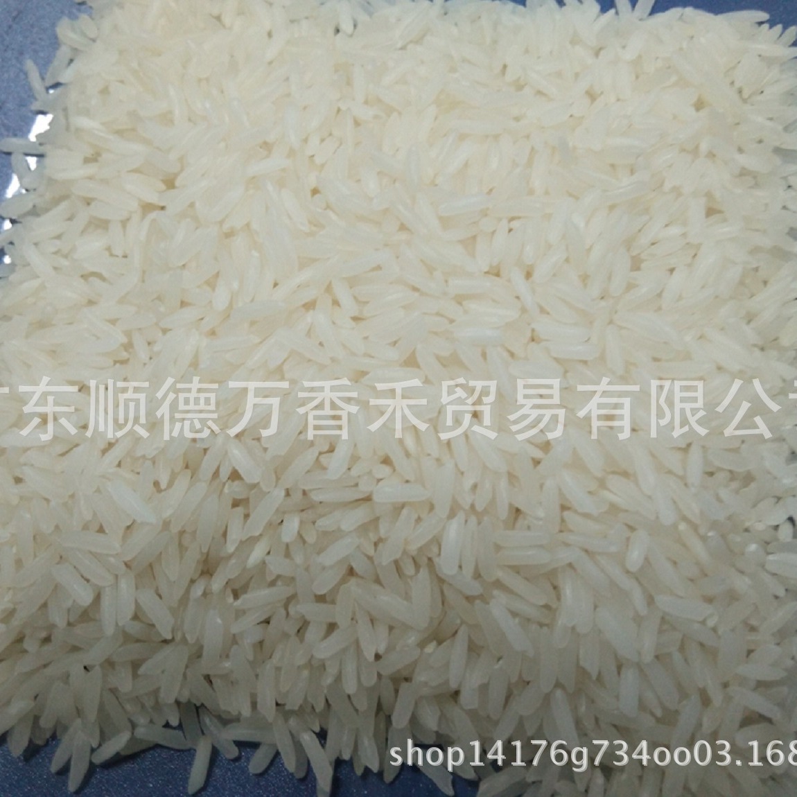 常年专供进口大米泰国白米泰国香米茉莉香米一手货源正规进口