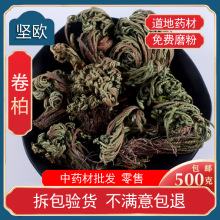 卷柏中药材九死还魂草不死草还阳草长生草散装倦柏卷伯中草药