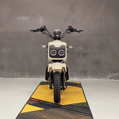 Exported to Europe, Ready-To-Ship, Elektrikli motosikletlər