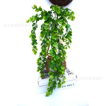 �羳����ڒ��ٗl�ȼ����Gֲ���X�~����ާ�픙���������滨