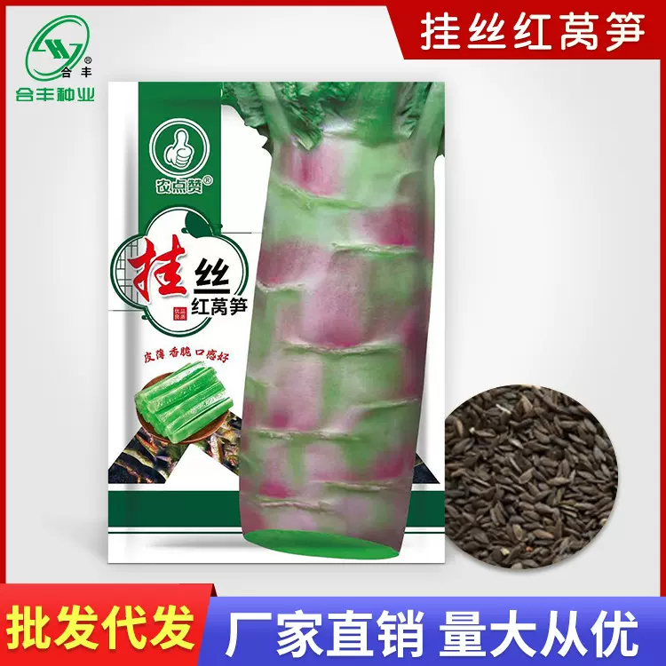 挂丝红莴笋种子 耐热红莴笋种籽莴苣红笋种孑四季蔬菜种子厂家批