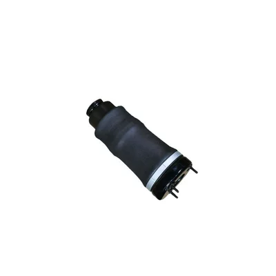 A2513203013, Suspension and Shock Absorber Systems