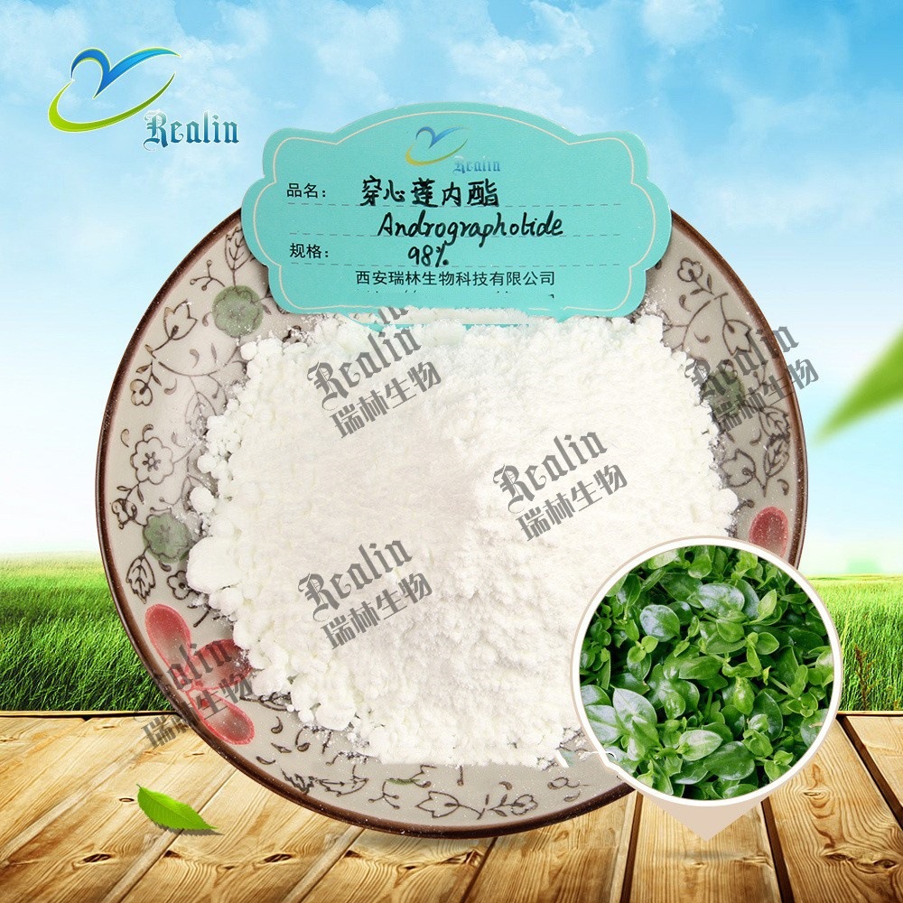 穿心莲内酯 穿心莲茎叶提取 白色粉末 含量98% 另有粗提比例提取