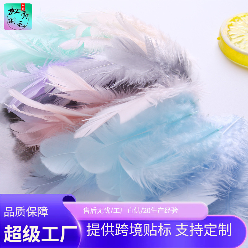 大量现货彩色婆毛diy羽毛捕梦网猫玩具饰品配件工艺品装饰材料