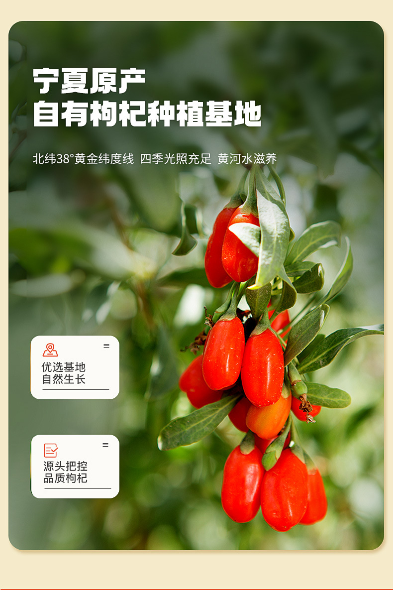 Goji Berry Ginseng Drink 30ml Chinese Herbal Beverage with Ningxia Wolfberry and Changbai Mountain Ginseng specifications