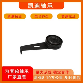 厂家高品质汽车涨紧轮96074514、5751.15适用于菲亚特、雷诺