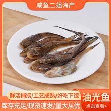 【光鱼】_光鱼品牌/图片/价格_光鱼批发_阿里巴巴