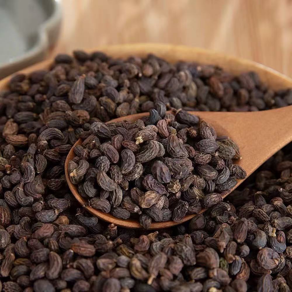 Dried Ligustrum Fruit Nuzhenzi 500g Whole Berries for Herbal Tea and Decoction details