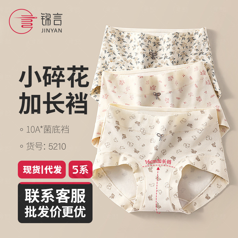 Category a Baby Cotton Women's Underwear High Waist Antibacterial Extended Hip-Covering Floral Micro-Tummy Control Boxer Briefs Women's New Style