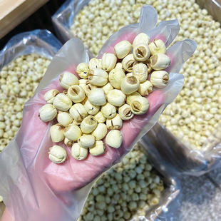 ȥо��ɏ��؛ ��Ŵ��ɏ �Ҝ���Ʒ��ˮ�������lС�� ��^�Fُ���l