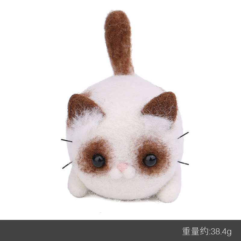 래그돌 고양이; 영어 설명서 + 영어 비디오 설명;-