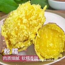 ���؃r�S�ļt��������ɳ�ذ������r���ԷN��Ŵ����tƤ�S������Ŵ