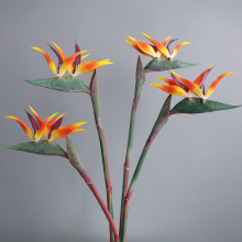 Ƶb߶B滨 ҾbˇQmٻ