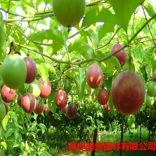 �������l����һ̖�������̨�r������� ���Ե��� ����Y��