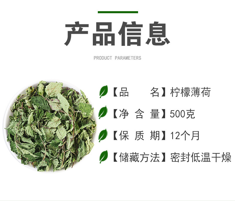 Mint Leaf Tea (Mentha haplocalyx) — Dried Food-Herb Mint for Cold Brew & Daily Infusions quality and texture