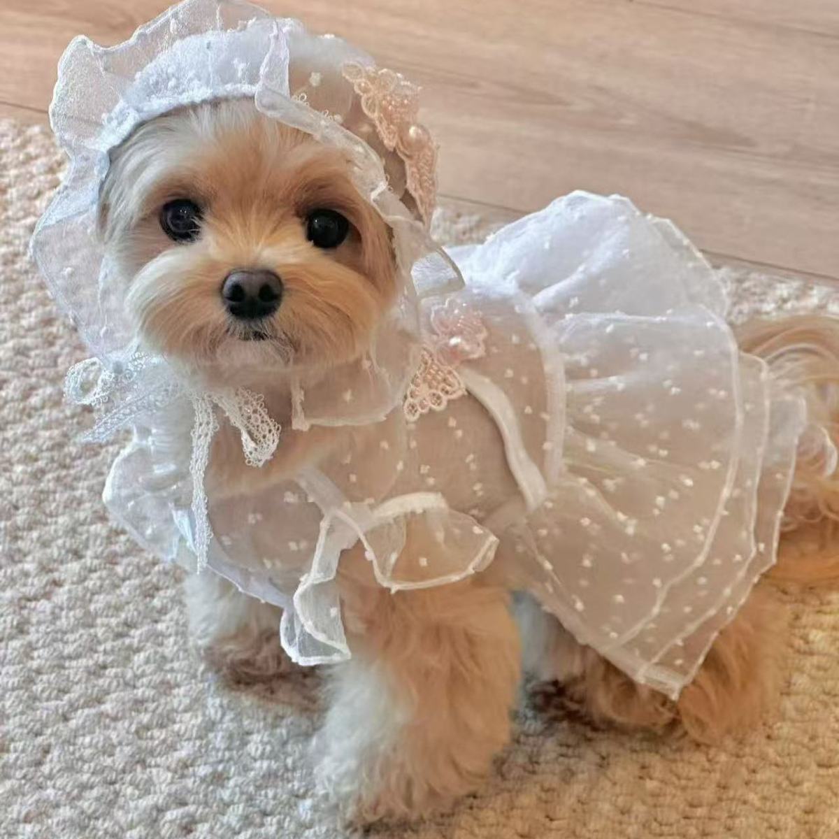 Spetsig prinsessklänning för hundar vår sommar husdjurskläder_voghion.com