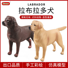 �羳������������Ȯ����ģ�Ͷ�ͯ��֪���ﳵ�ذڼ���������Ʒ����