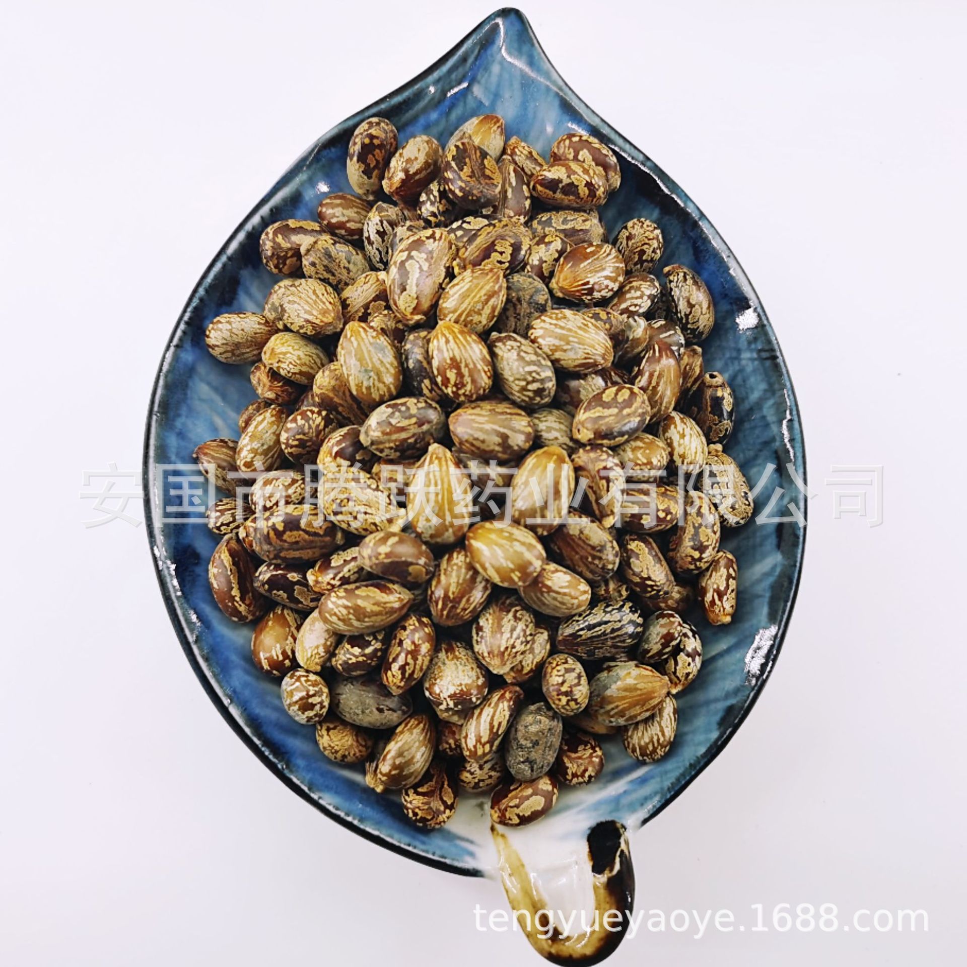 Castor Seeds Bi Ma Zi 500g Bag Dried Ricinus communis Traditional Chinese Herb Wholesale quality and texture
