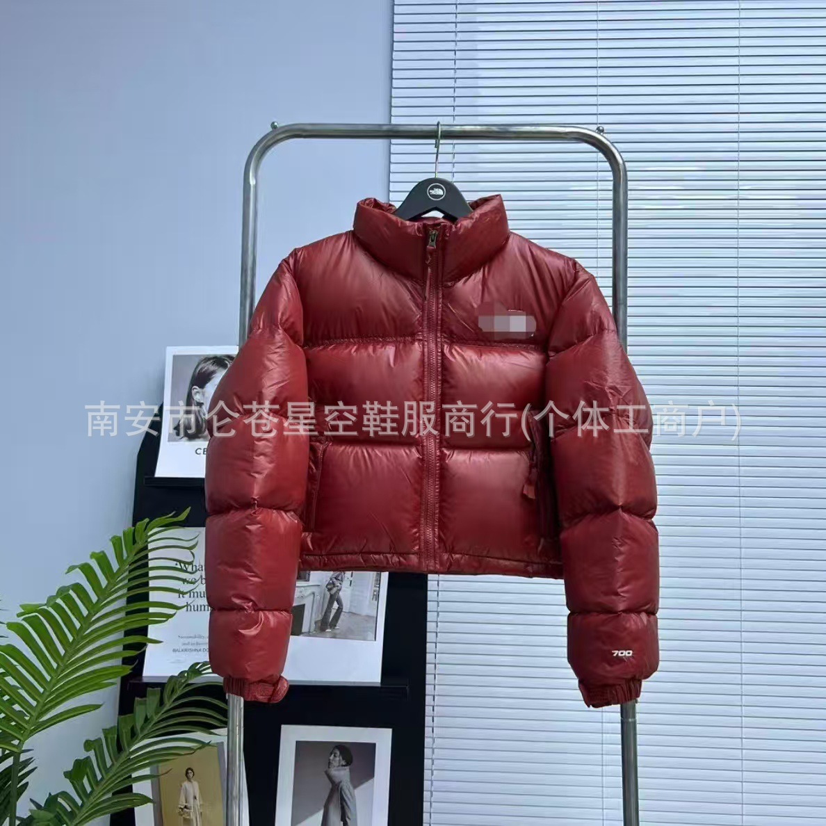 Purely Original Putian Beijia down Jacket 1984 Short Glossy Stand-Up Collar Women's Winter Street Fashion down Coat