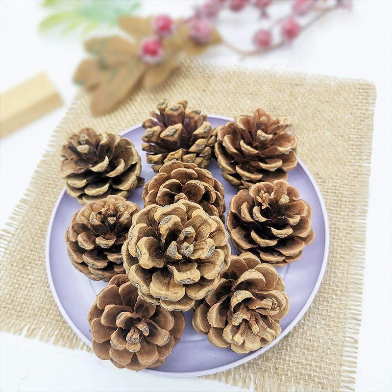 Натуральная сосновая шишка рождественские украшения Дерево сушеный цветок вечный цветок окрашенная белая сосновая шишка аксессуары для поделок Рождественские фрукты оптом
