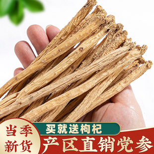 党参干货特级党叁甘肃中药材正品官方旗舰店野生当参配当归北黄芪-阿里巴巴